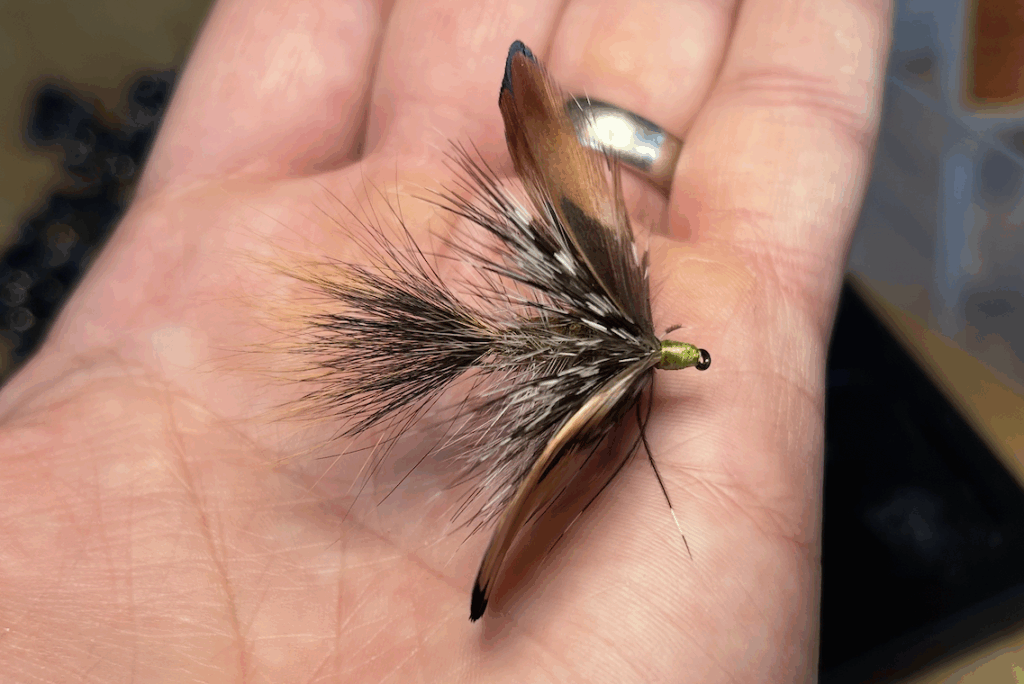 Harvey Pusher Fly